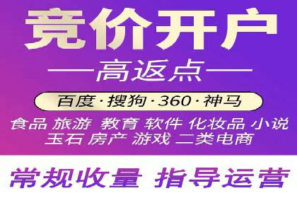 行业内的SEM竞价代运营公司优秀案例剖析